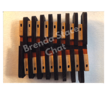 “Endangered Species #20 Ribs2”